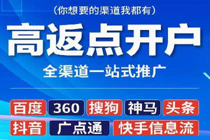 高效百度推广案例解析及优化策略